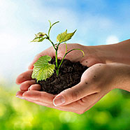 Nachaltigkeit und Sicherheit