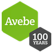 100 years avebe