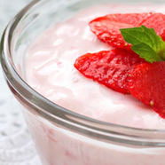 Milchprodukt Joghurt