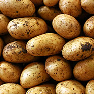 Kartoffeln